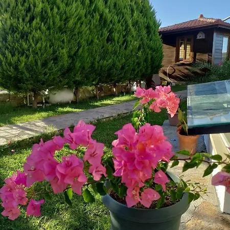 Harmanyeri Tatilevi Bed & Breakfast *
