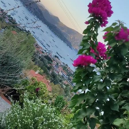 Bed & Breakfast Harmanyeri Tatilevi Selimiye (Aegean)