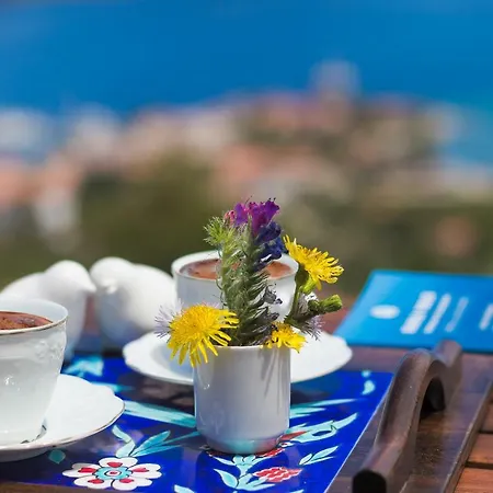 Harmanyeri Tatilevi Bed & Breakfast